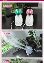 金稻纳米离子热喷蒸脸器 秋冬护肤的补水神器实测体验